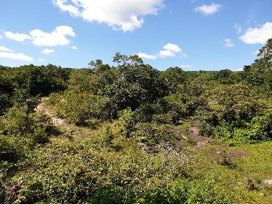Shimba Hills, Kenya