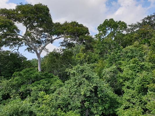 Shimba Hills, Kenya